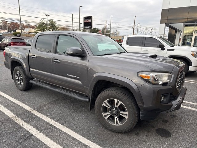 2019 Toyota Tacoma TRD Sport photo 2