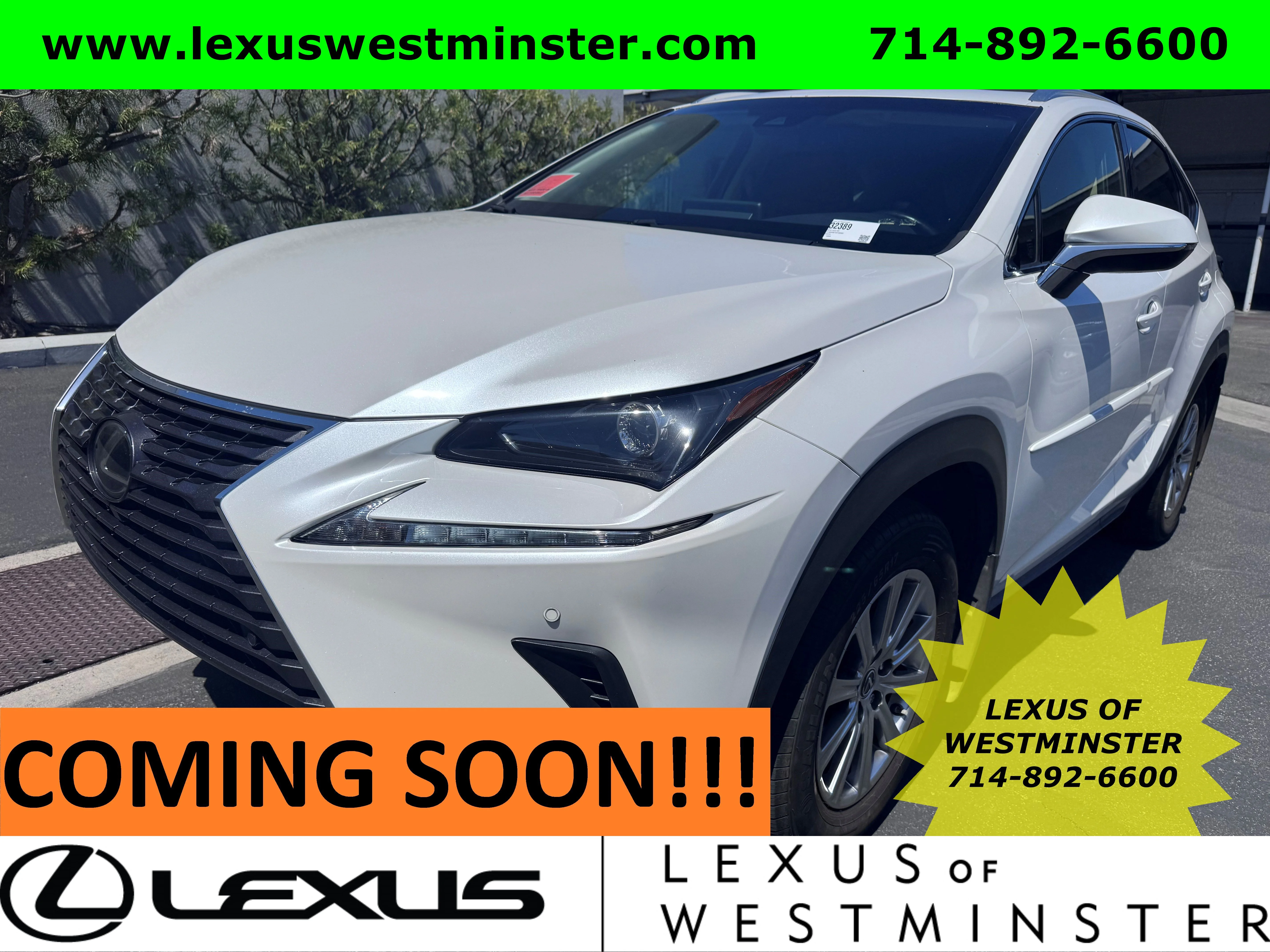 2019 Lexus NX 350 300 AWD's photo