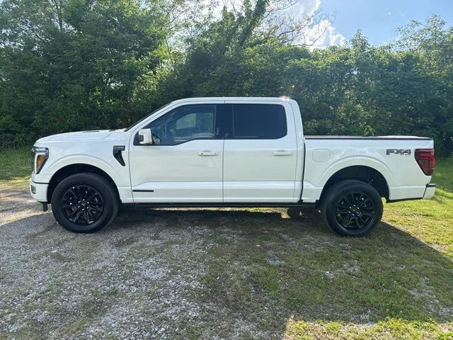 Used 2024 White Ford Platinum image 5