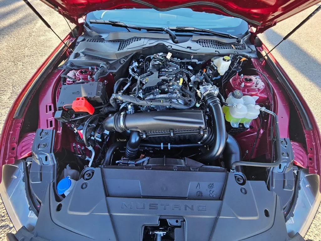 New 2026 Molten Magenta Metallic Tinted Clearcoat Ford EcoBoost® Premium Fastback image 30