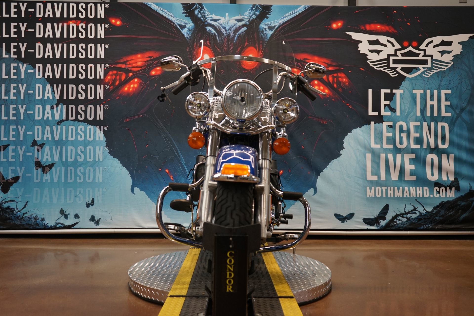 Used 2016 Superior Blue Harley-Davidson  image 3