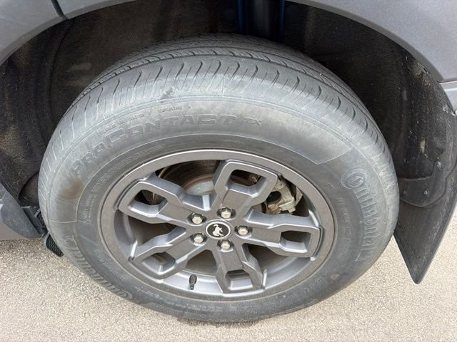 Photo 12