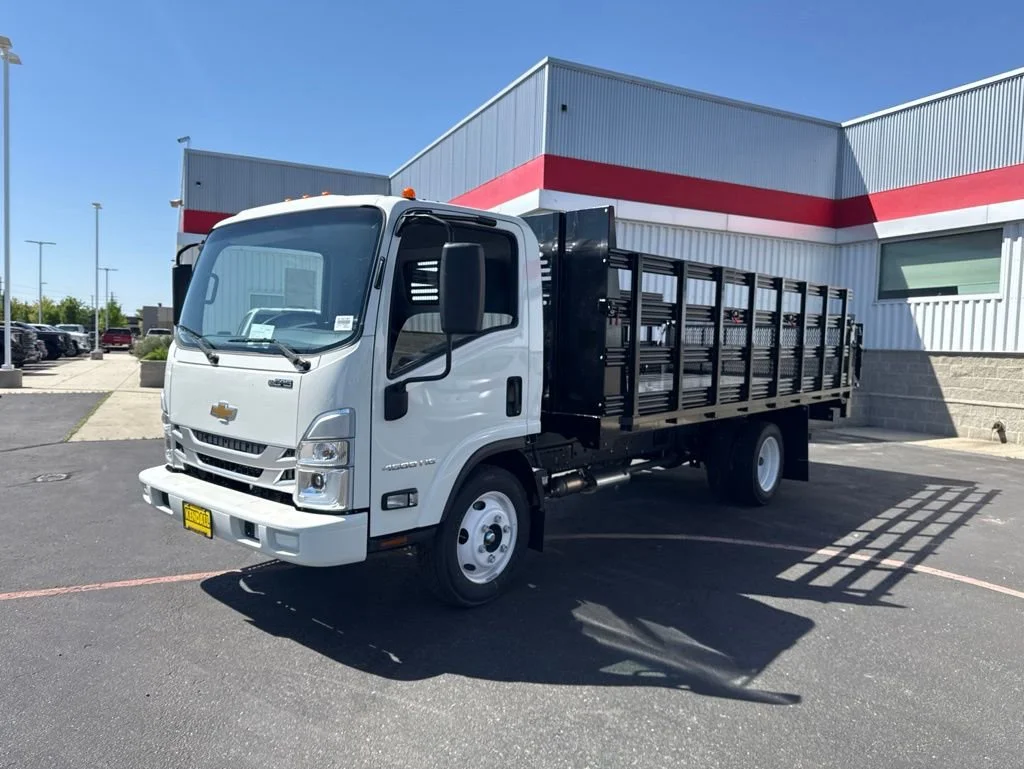 New 2025 Arc White Chevrolet  image 2