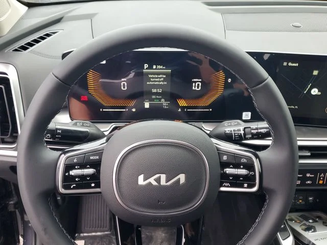 New 2025 Panthera Metal Kia S image 13