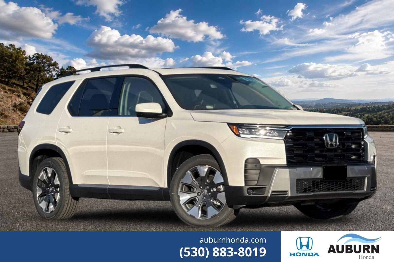 2026 Honda Pilot Elite AWD's photo