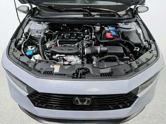 Used 2025 Gray Honda SE image 24