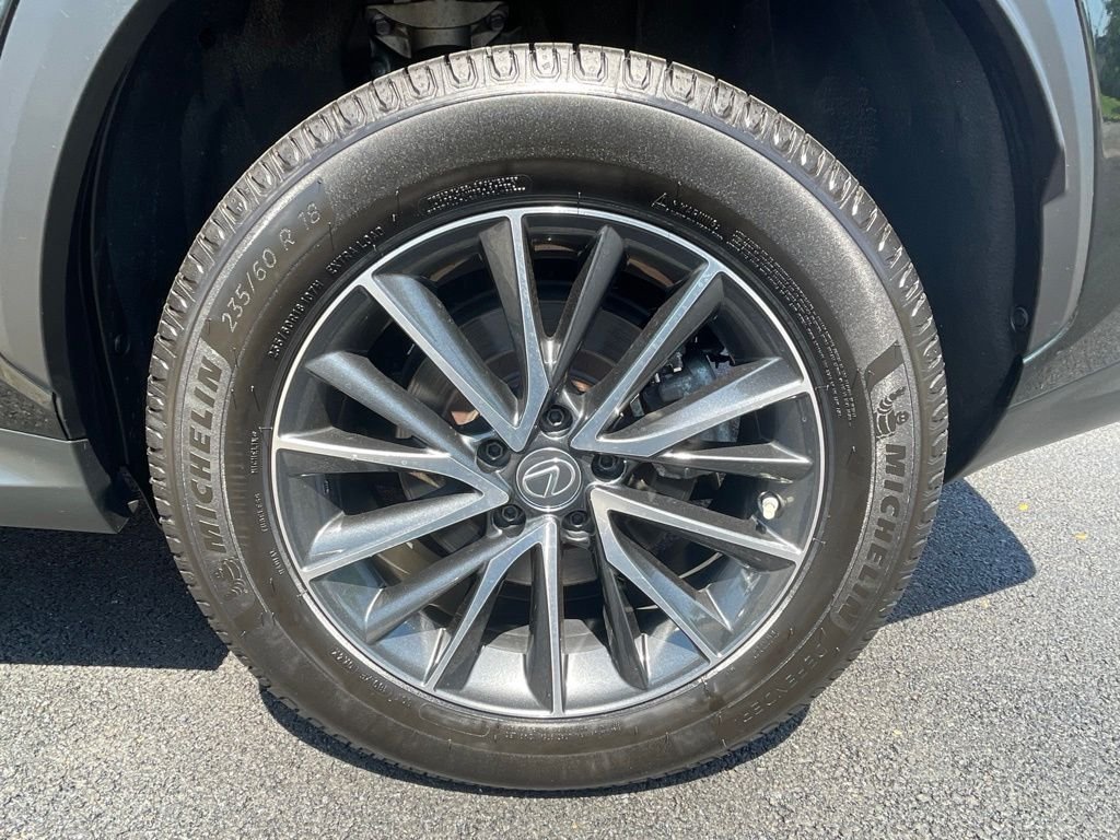 2023 Lexus NX 350 - Photo 12
