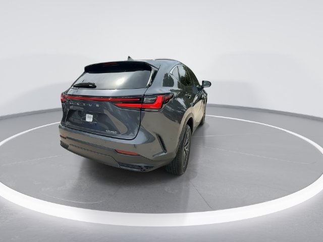 2025 Lexus NX 250 - Photo 7