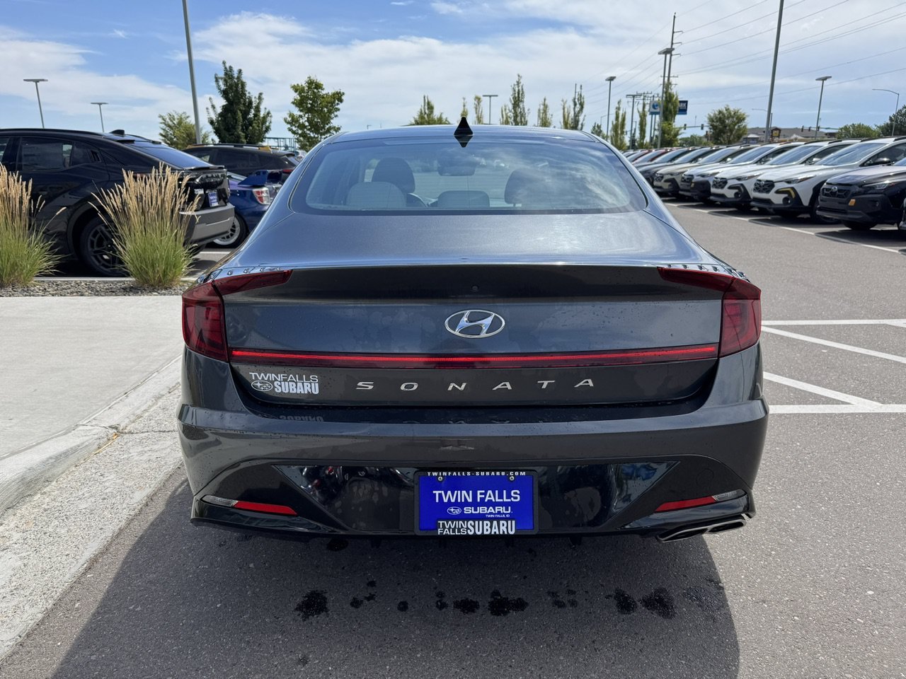 Used 2023 Portofino Gray Hyundai SEL image 6