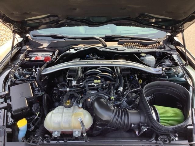 2019 Ford Mustang Bullitt - Photo 14