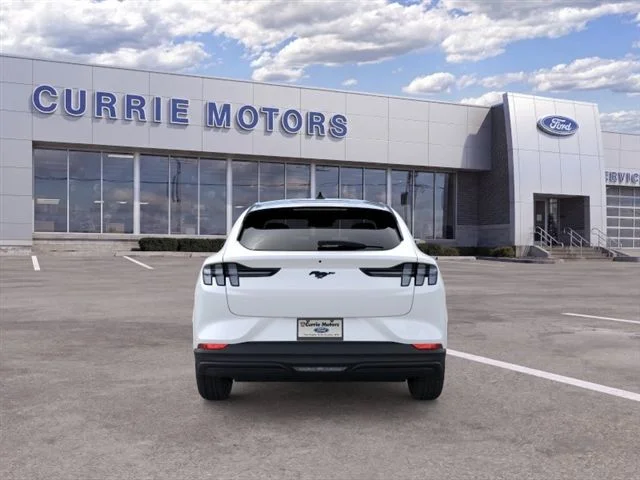 New 2026 Star White Metallic Tri-coat Ford Premium image 5