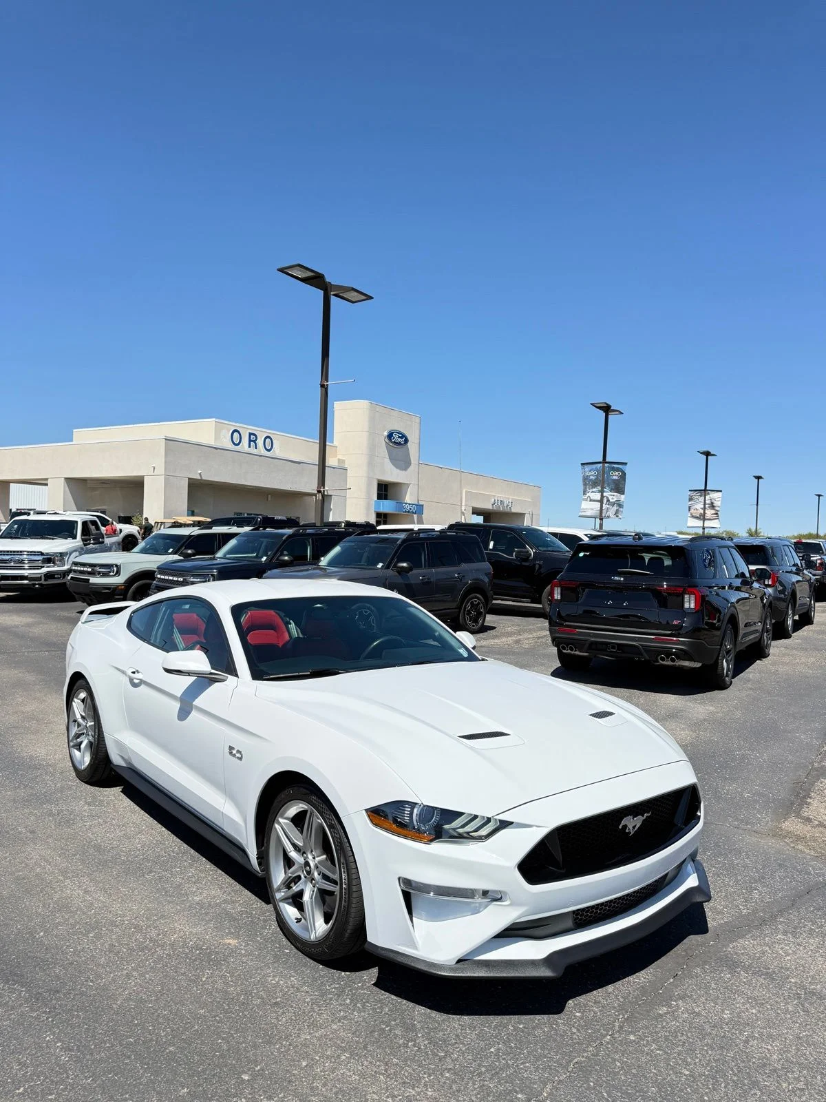 2019 Ford Mustang GT Coupe Premium's photo