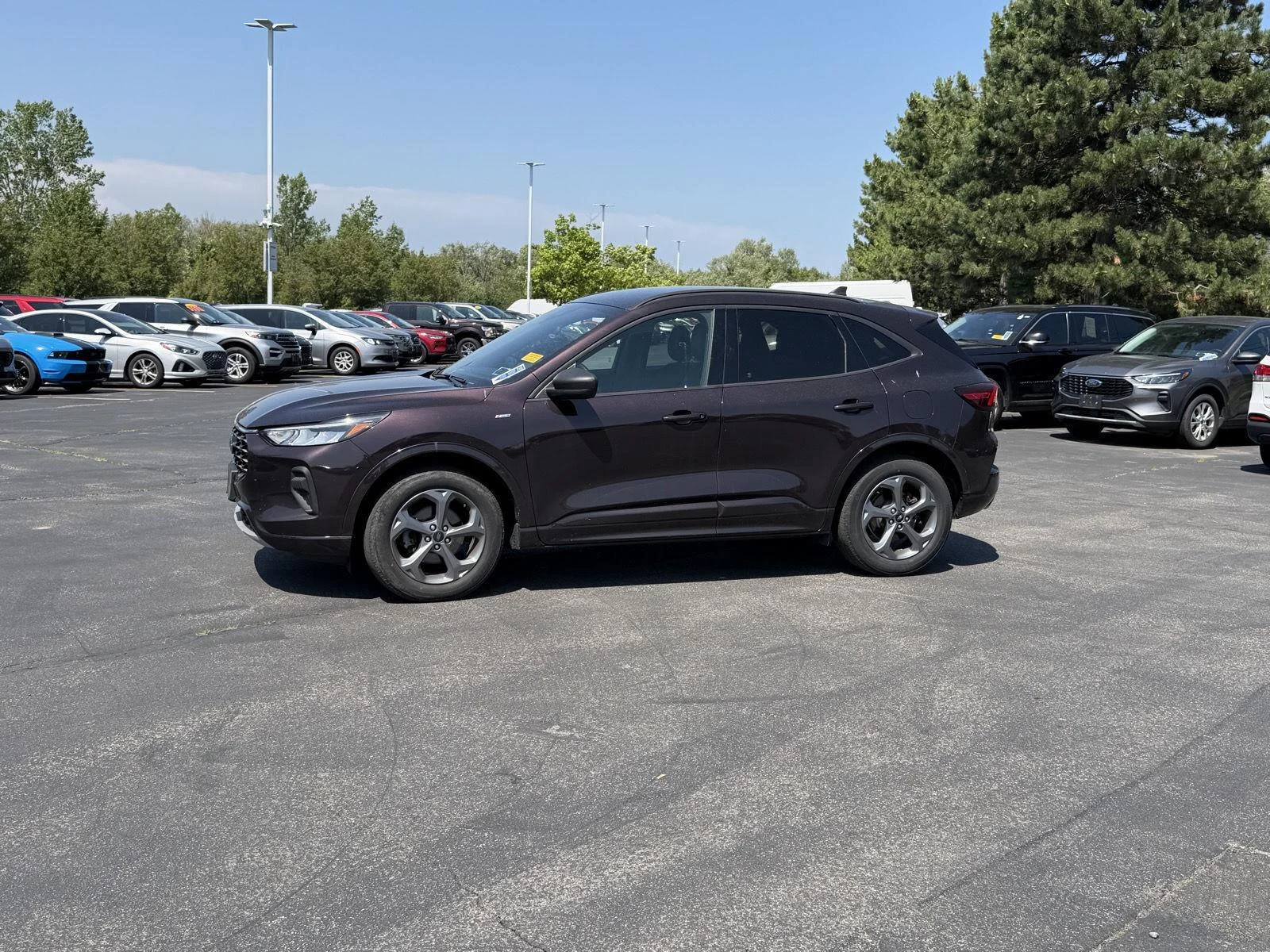 Used 2023 Cinnabar Red Ford ST-Line image 4