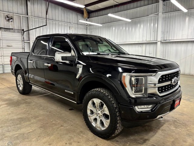 2022 Ford F-150 Platinum
