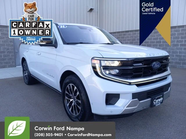 2025 Ford Expedition Platinum 4x4's photo