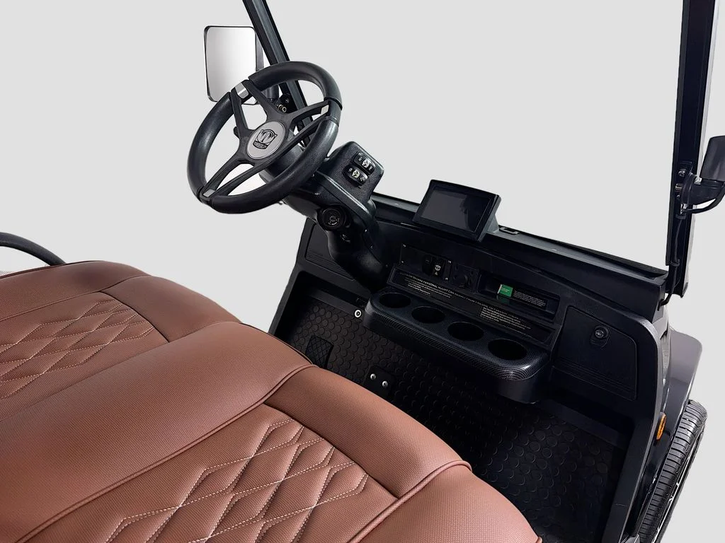 Used 2023 Black Tomberlin lsv image 23