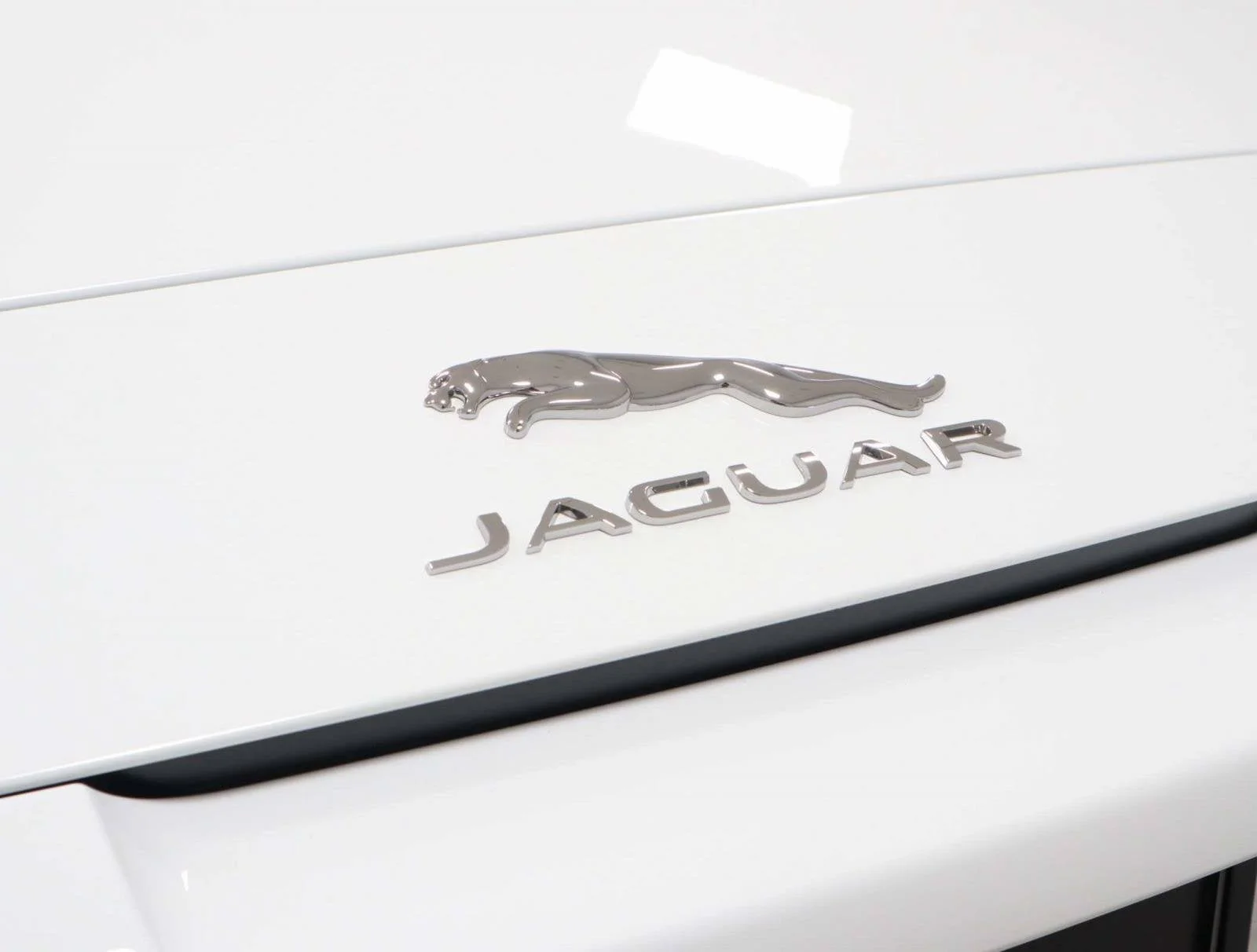 Used 2024 White Jaguar 75 image 15