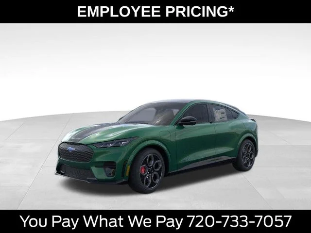2026 Ford Mustang-Mach-e GT's photo