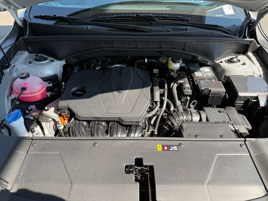 New 2026 Wolf Gray Kia S image 11