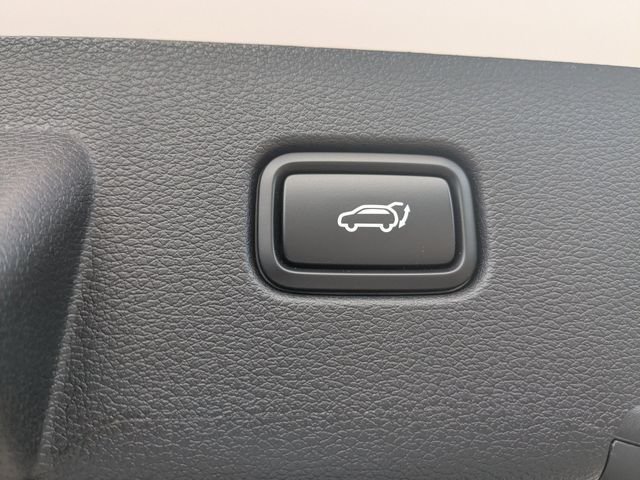 New 2026 Glacial White Pearl Kia X-Line image 12