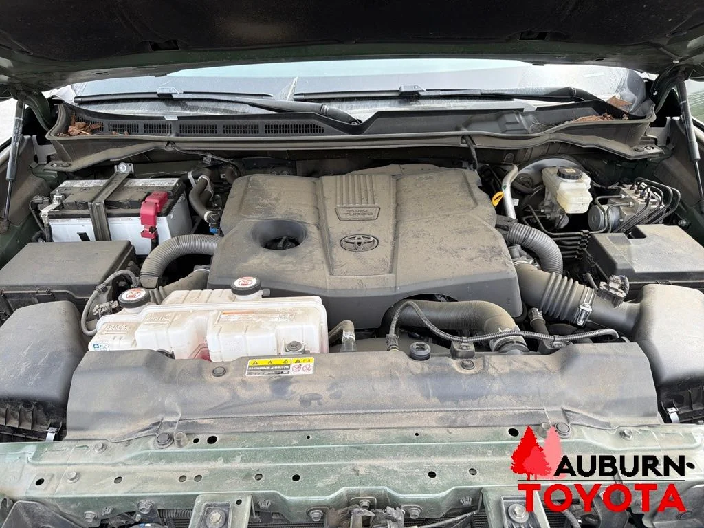 Used 2023 Green Toyota Limited image 23