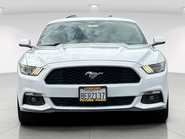 Used 2017 White Ford EcoBoost Premium image 8