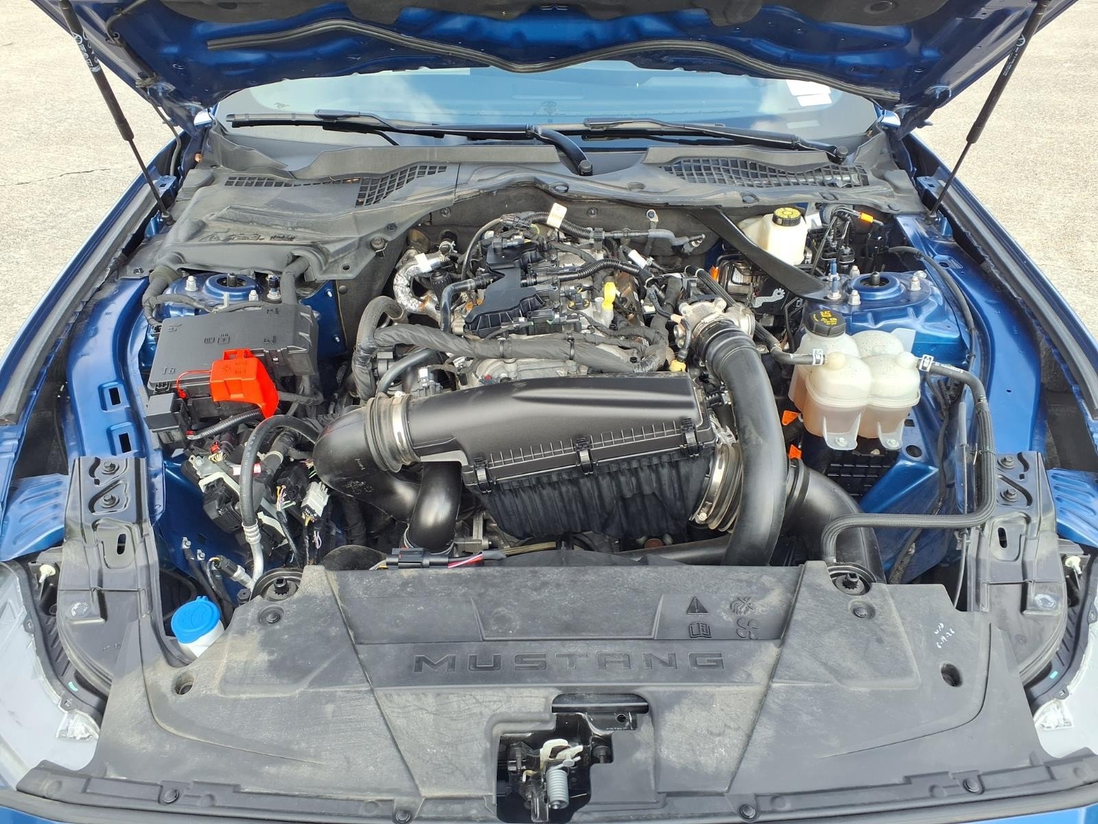 2024 Ford Mustang EcoBoost Blue at Davis Chevrolet