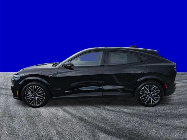 New 2026 Shadow Black Ford Premium image 7