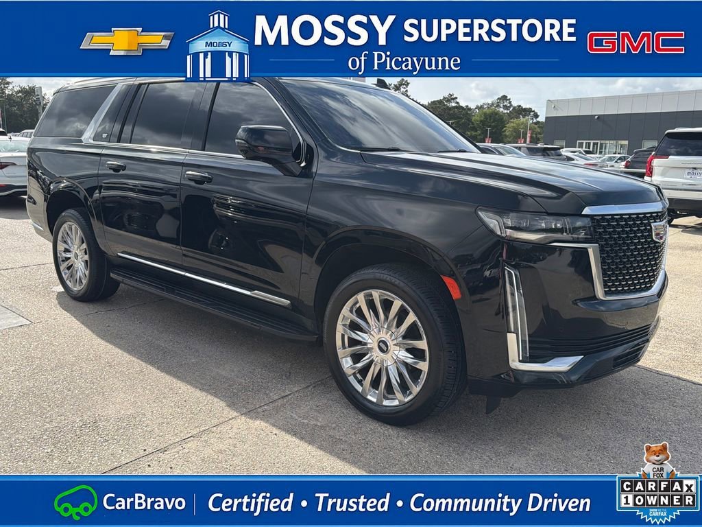 2023 Cadillac Escalade ESV Premium Luxury - Photo 10