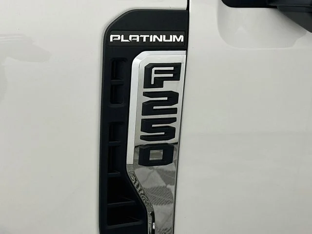 New 2026 White Ford Platinum image 27