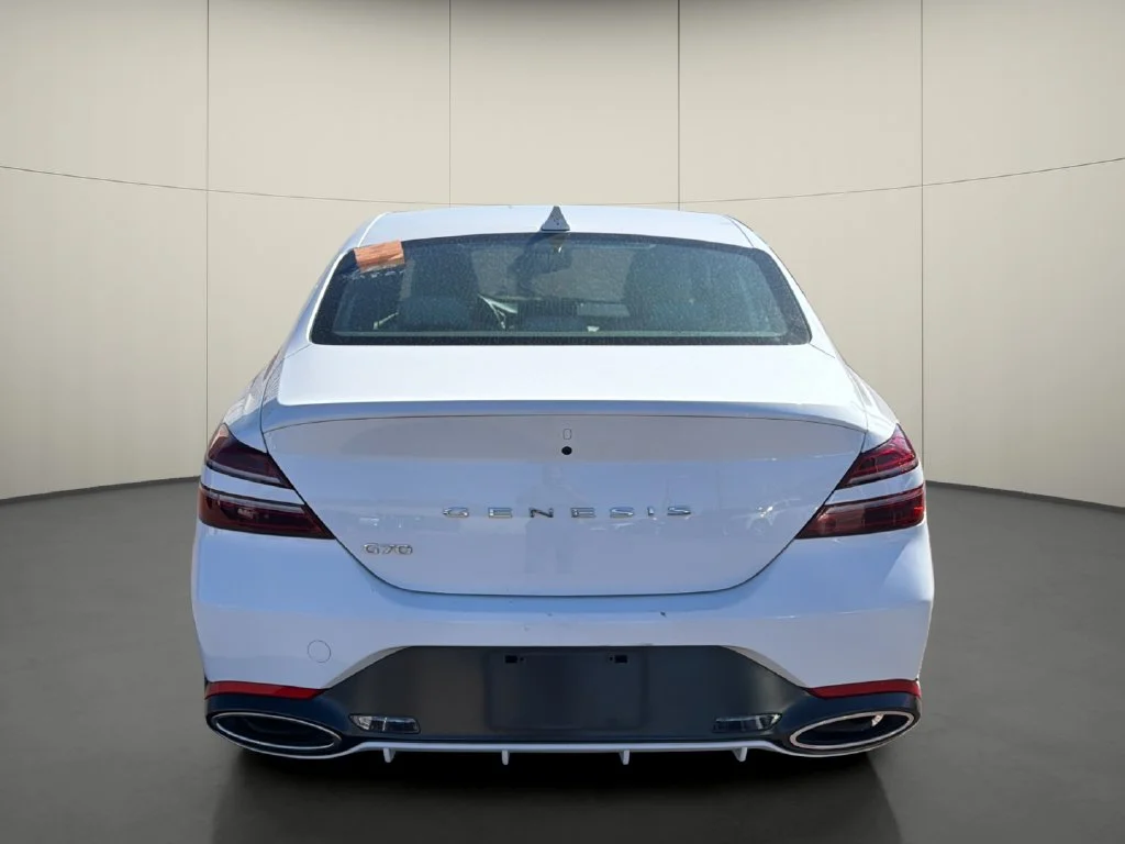 Used 2025 White Genesis 2.5T image 6