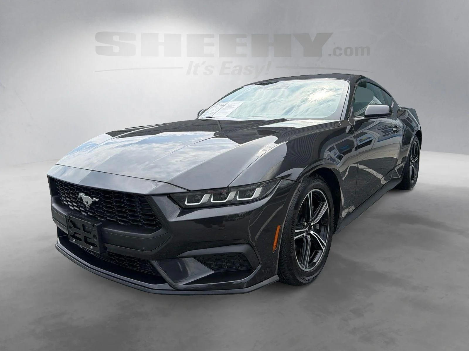 Used 2024 Dark Matter Gray Ford EcoBoost image 15