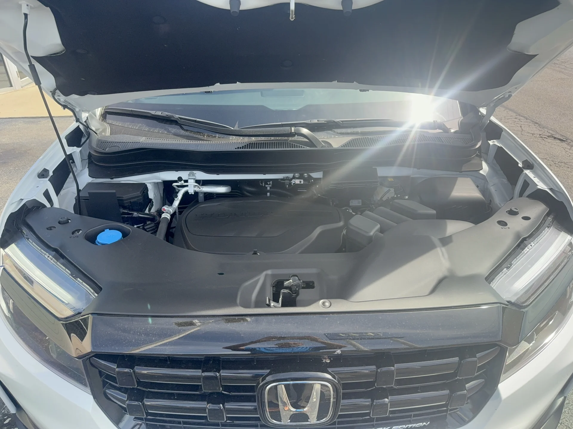 New 2026 Platinum White Pearl Honda Black Edition image 16