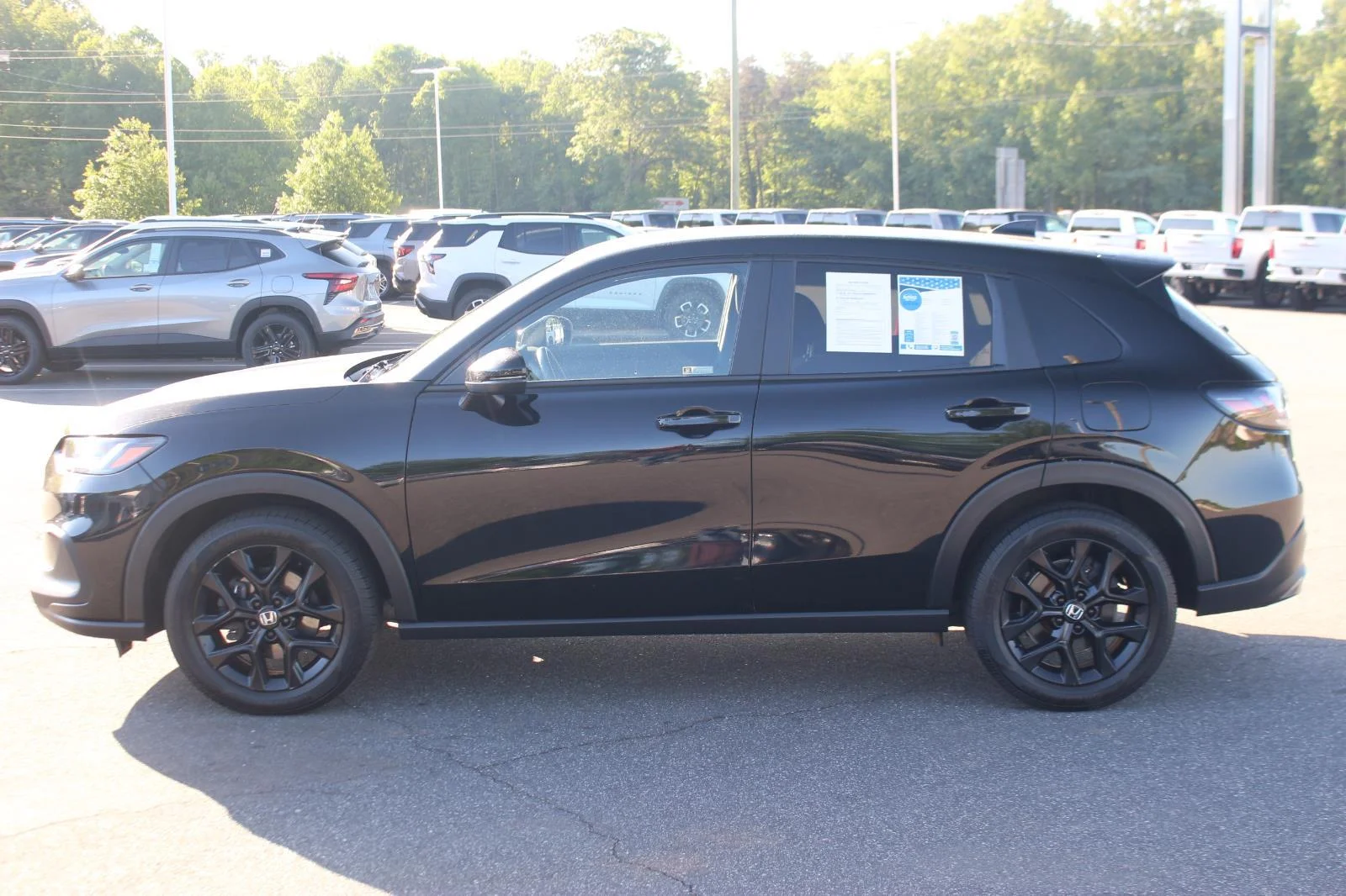 Used 2024 Black Honda Sport image 4