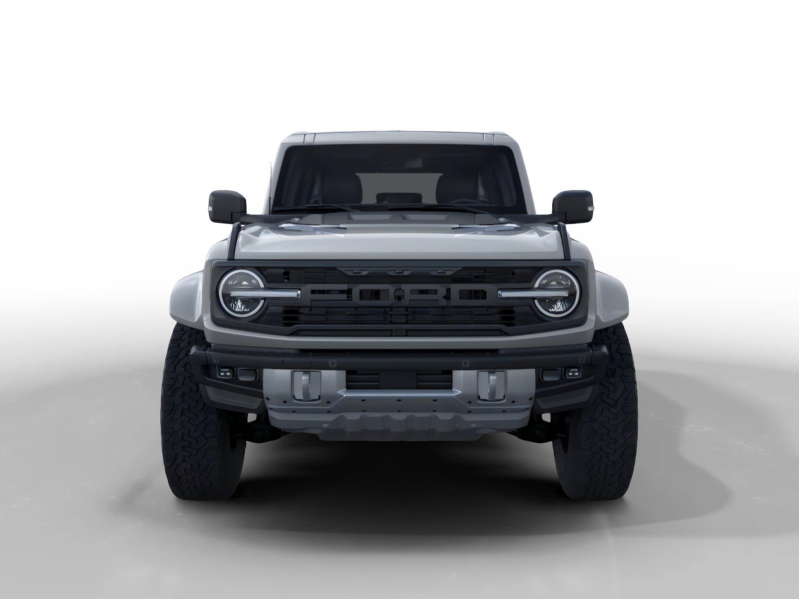 New 2026 Avalanche Gray Ford Raptor® image 6