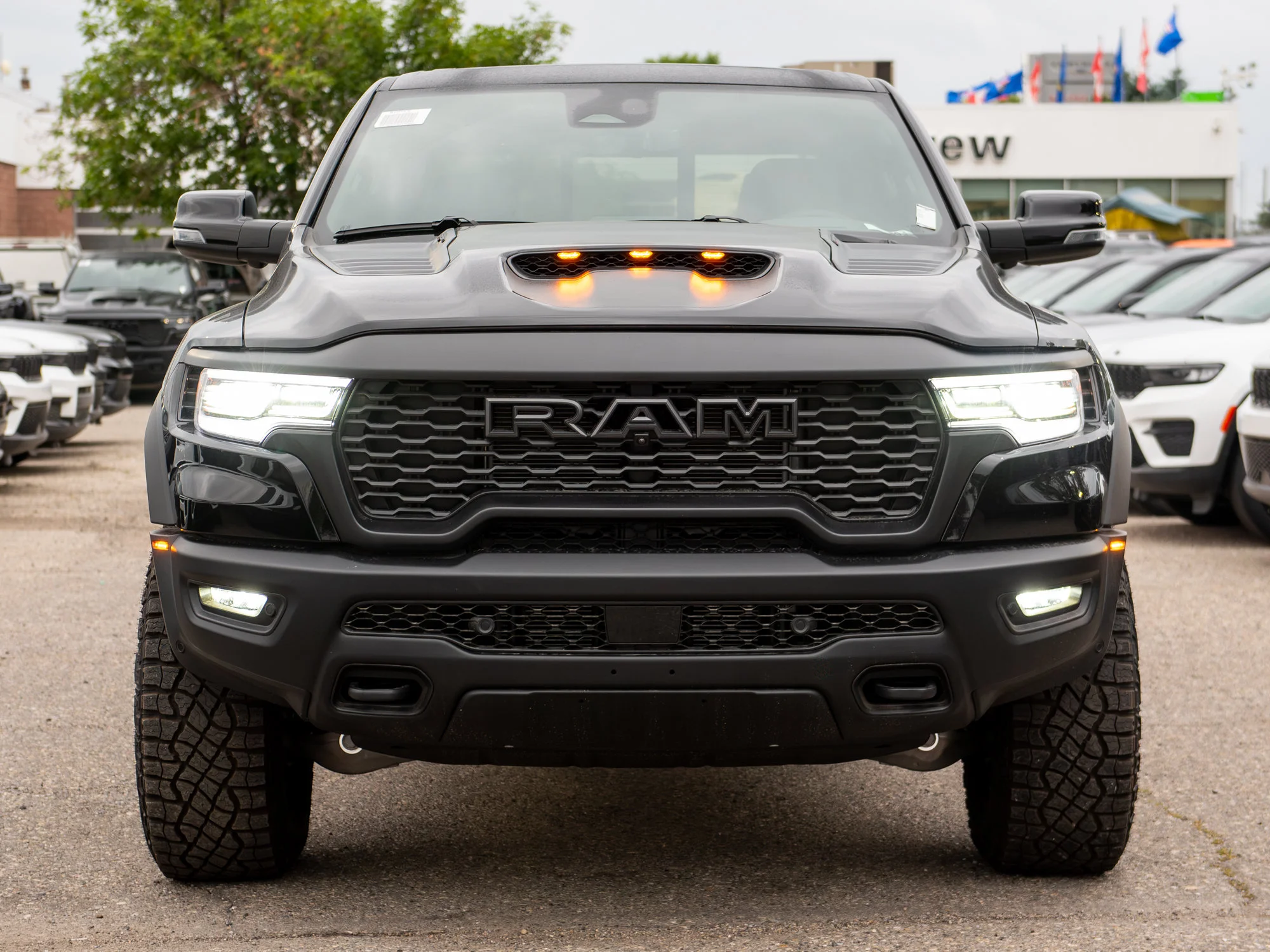 New 2026 Black RAM RHO* image 12