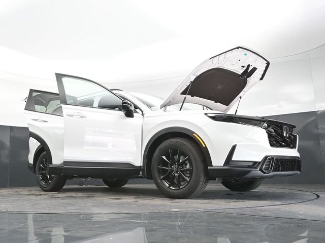 New 2026 Platinum White Pearl Honda Sport image 34