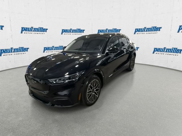 New 2026 Shadow Black Ford Premium image 5