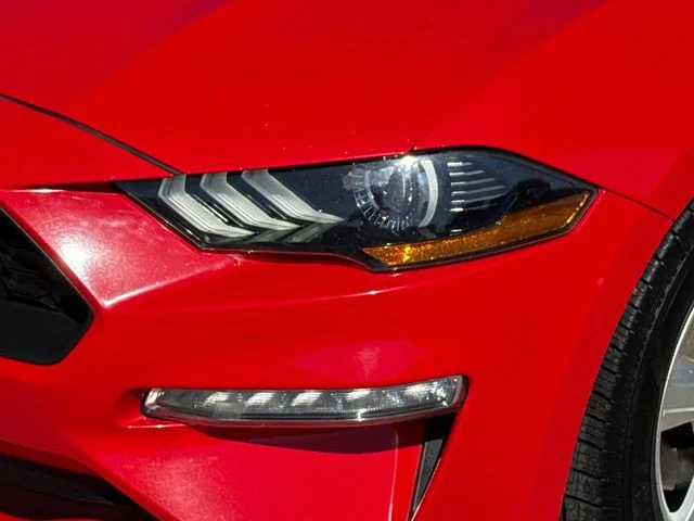 Used 2019 Red Ford EcoBoost image 4