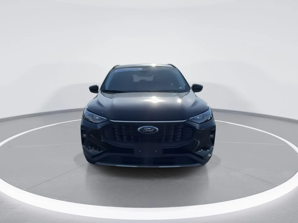 Used 2025  Ford Platinum image 3