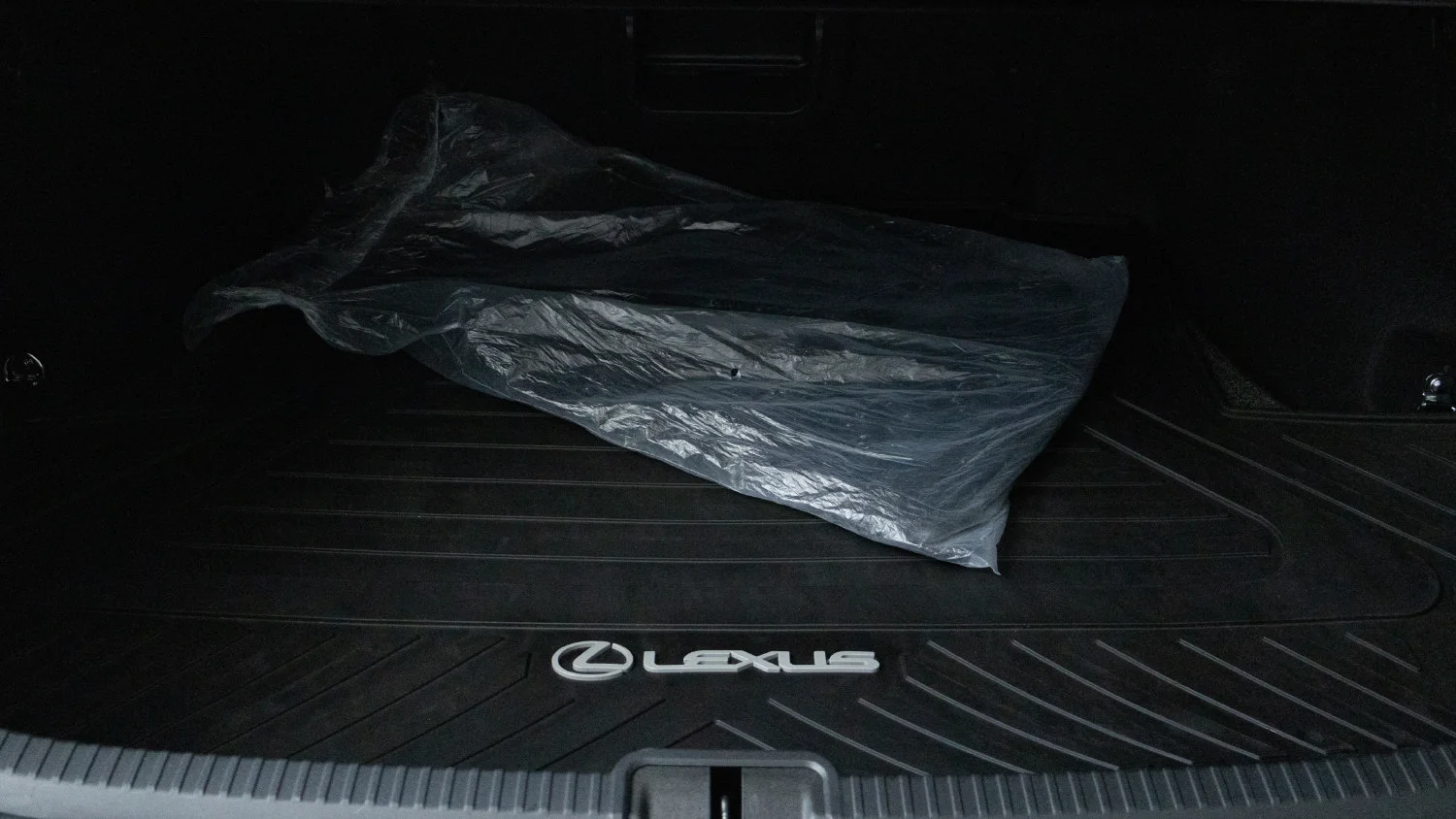 Used 2021 Black Lexus ES 250 image 29