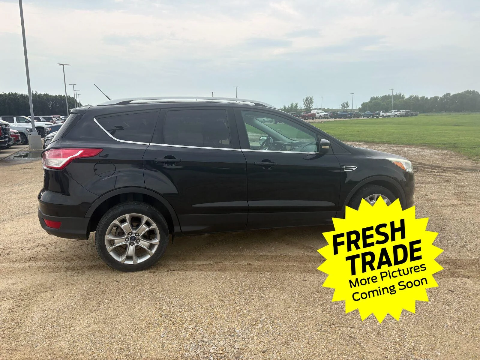 Used 2014 Tuxedo Black Metallic Ford Titanium image 6