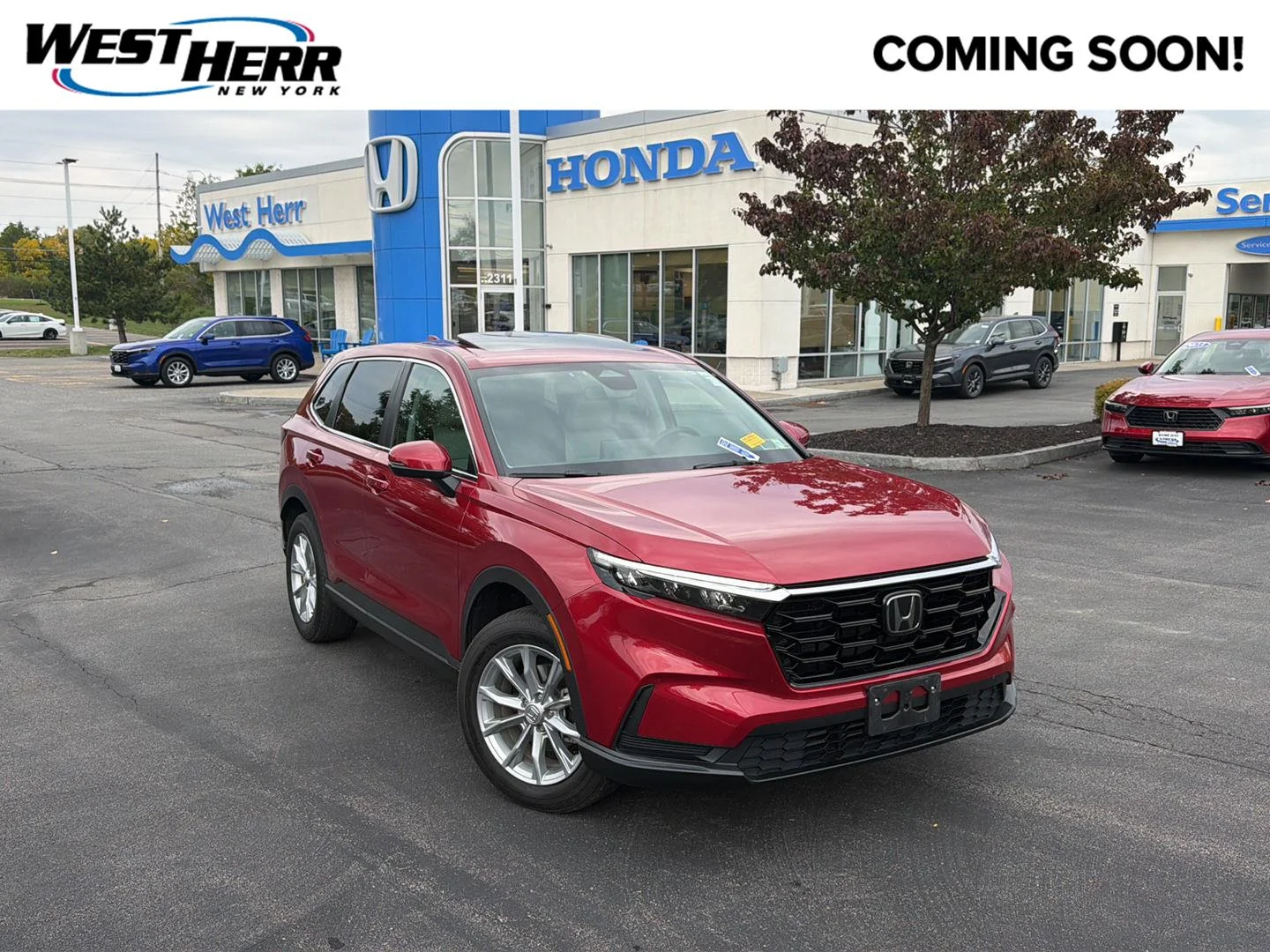 Used 2025 Radiant Red Metallic Honda EX image 1