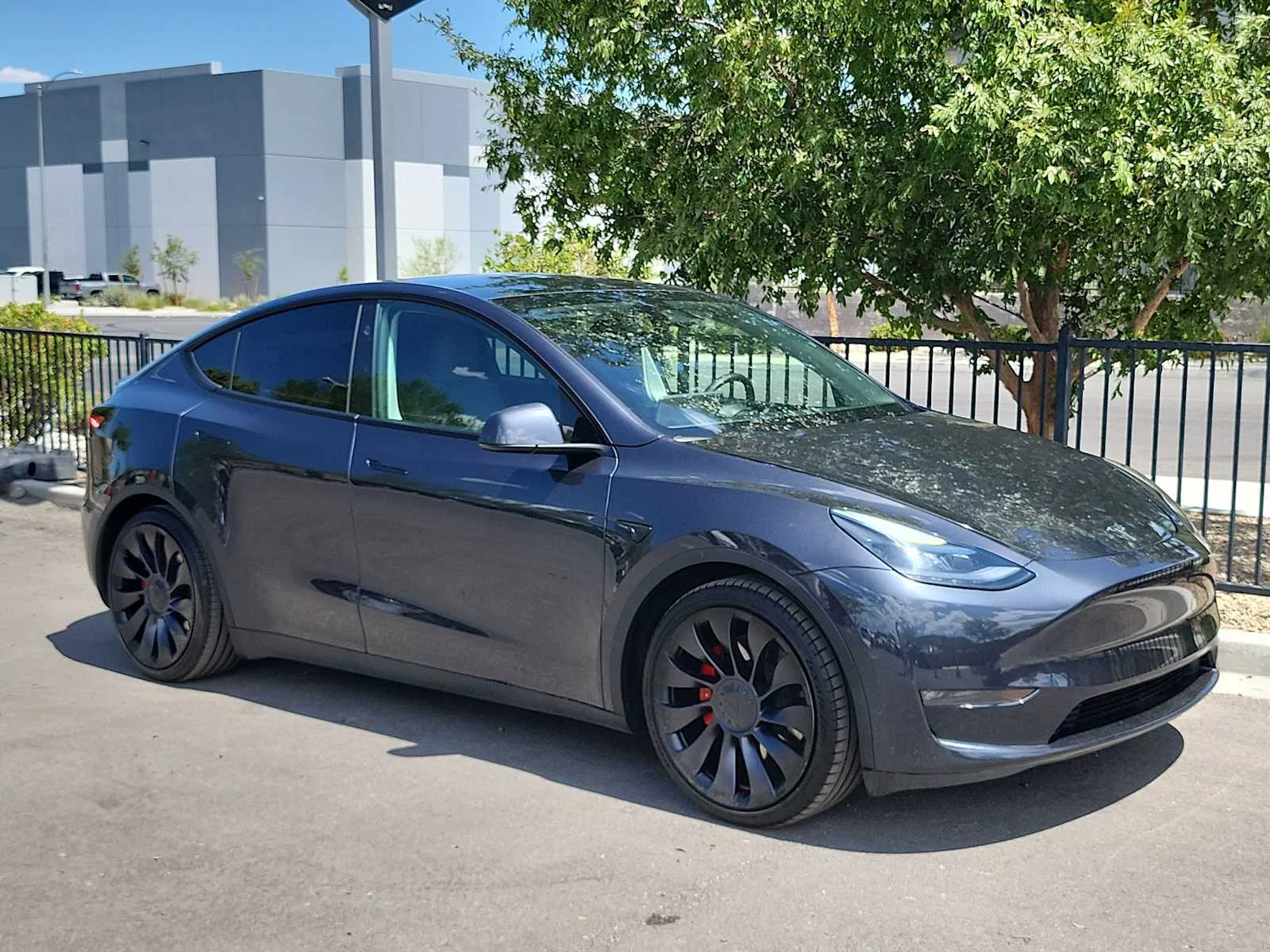 Used 2024 Tesla Model Y Performance with VIN 7SAYGDEF6RF160002 for sale in Las Vegas, NV