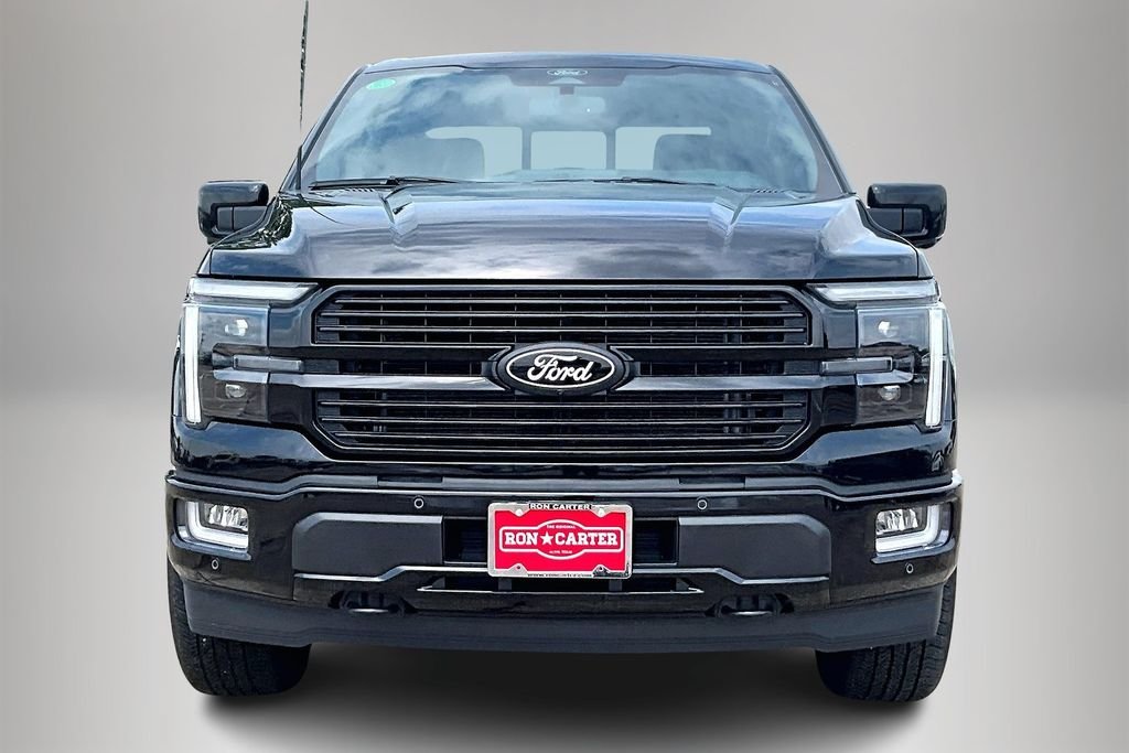 2025 Ford F-150 Platinum - Photo 12