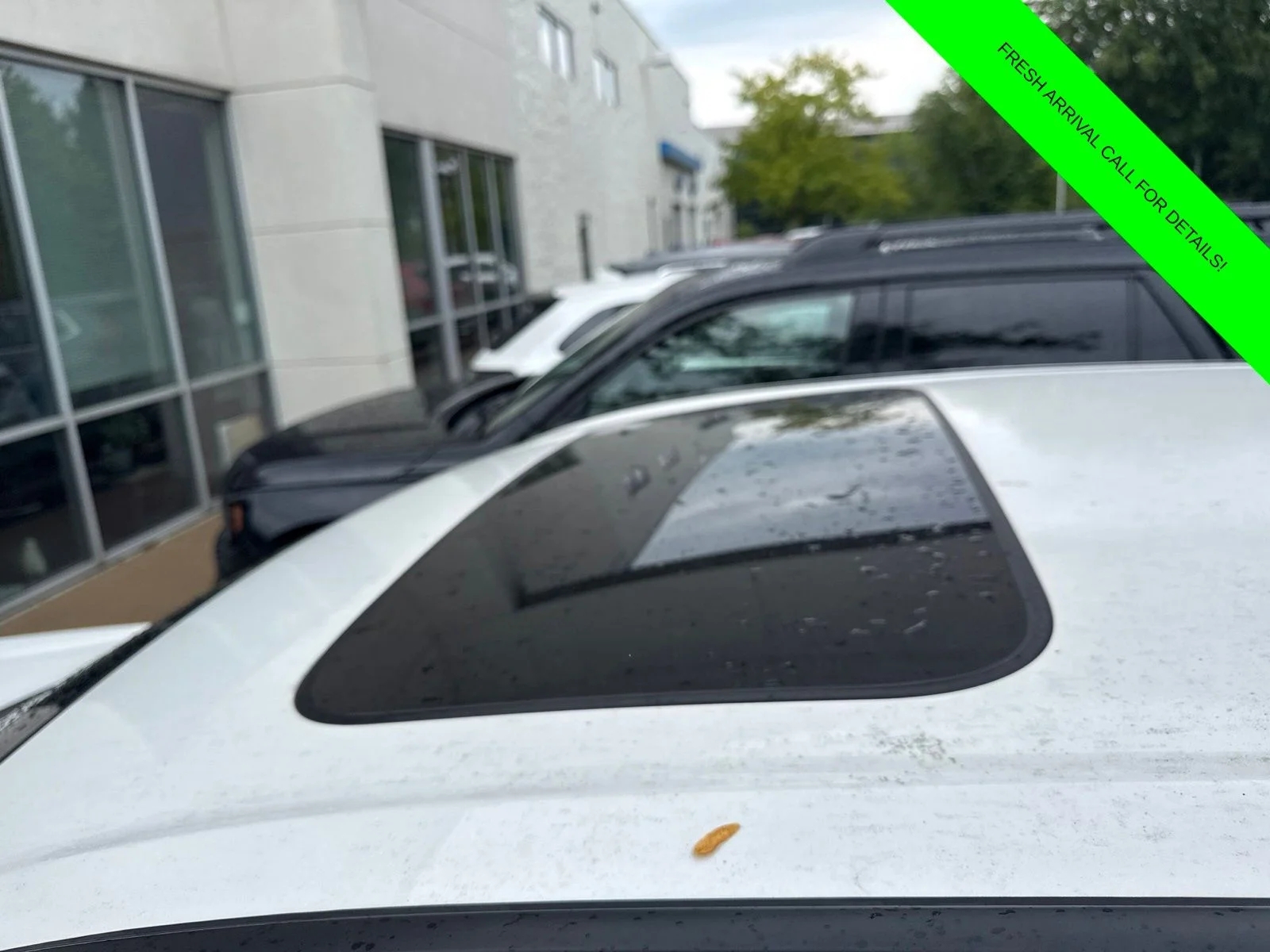 Used 2024 Platinum White Pearl Honda EX image 12