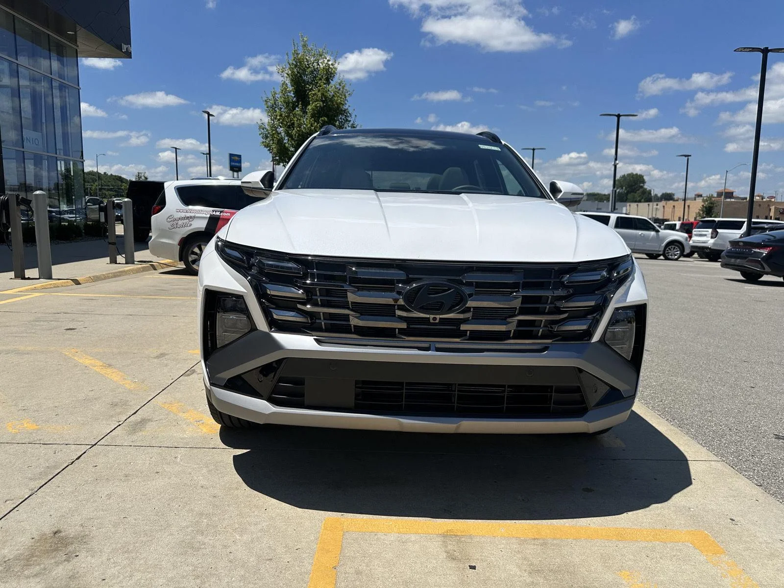 New 2026 Serenity White Pearl Hyundai Limited image 6