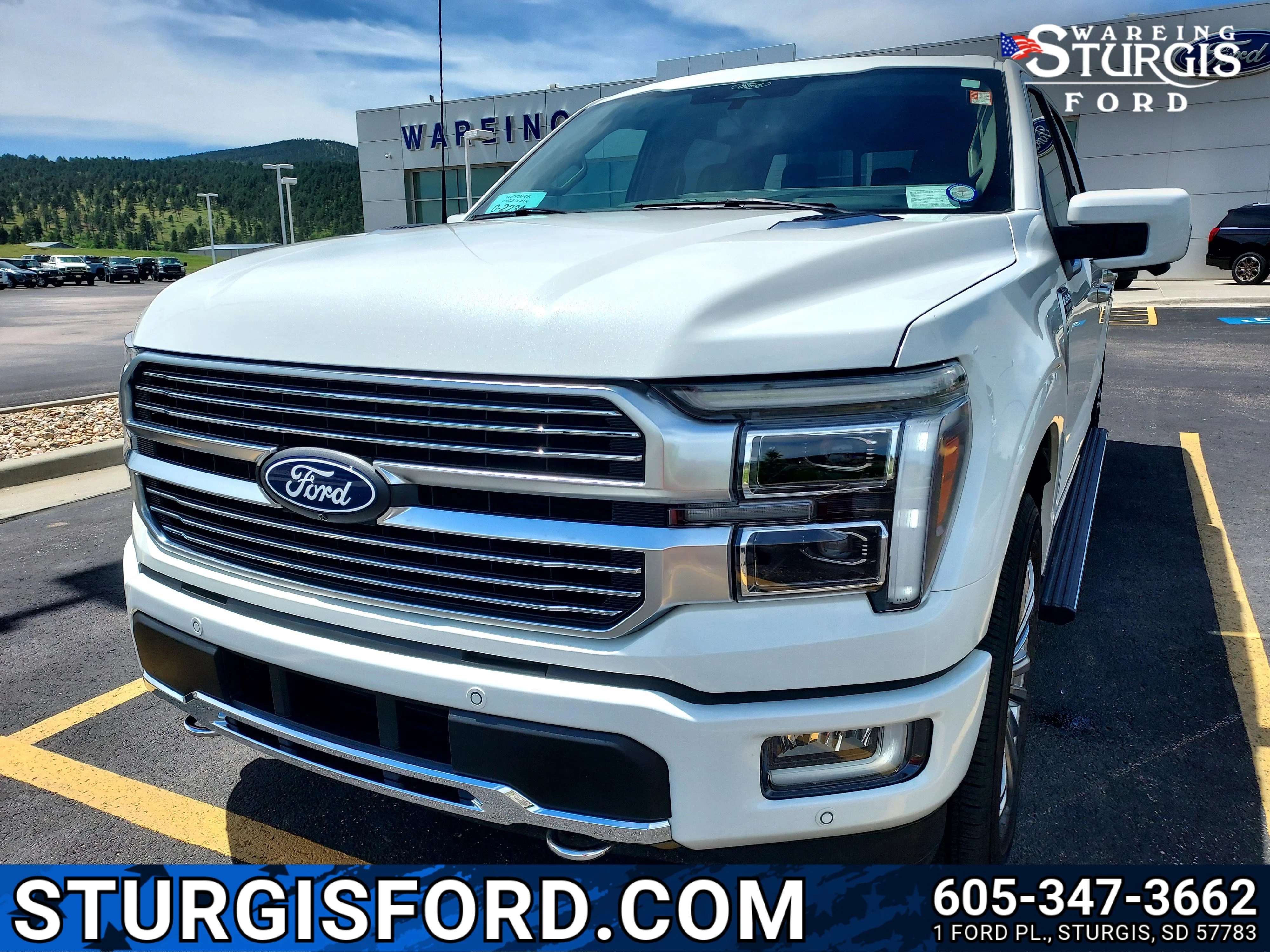 Used 2024 White Ford Platinum image 1