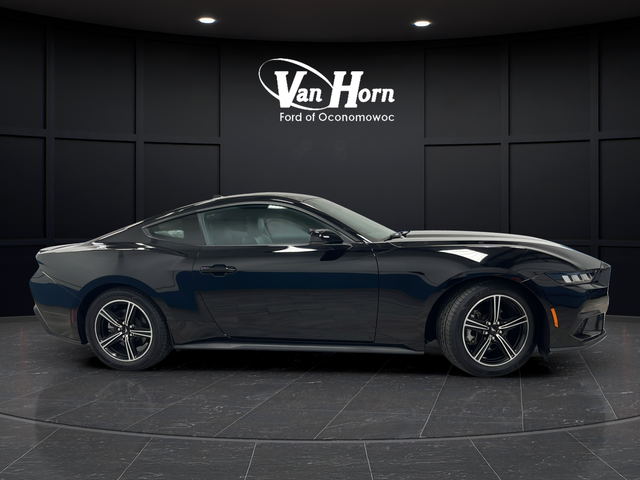 Used 2025 Shadow Black Ford EcoBoost Premium image 8