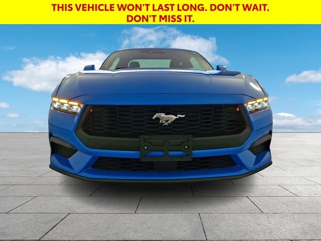 Used 2024 Blue Ford EcoBoost Premium image 3